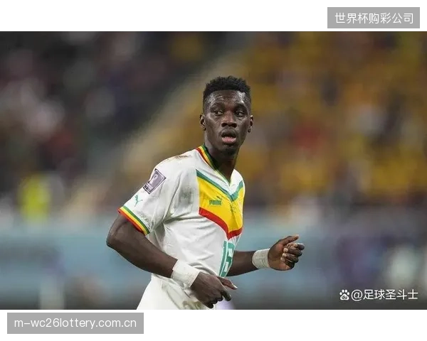 塞内加尔将凭借非洲杯夺冠的经验和自信，在死亡之组中力拼每一个对手。
